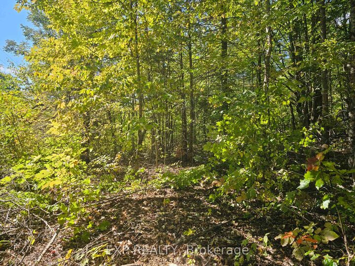 Property Photo:  Part Lot 32 And 33 Part 2 Conc 1 Concession  ON K0M 1X0 