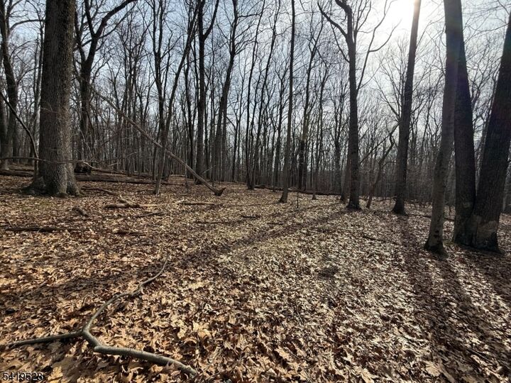 Property Photo:  164 North Rd  NJ 07930 