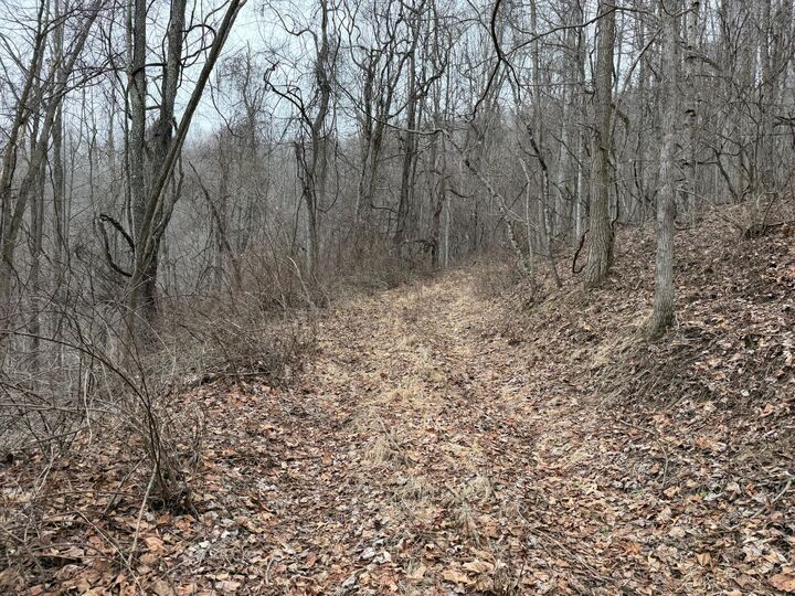 Property Photo:  N Route 219  WV 24966 