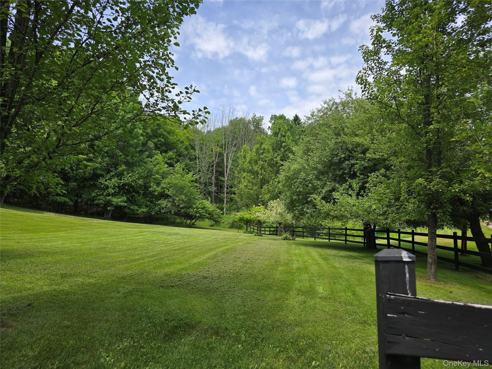 Property Photo:  California Avenue  NY 12754 