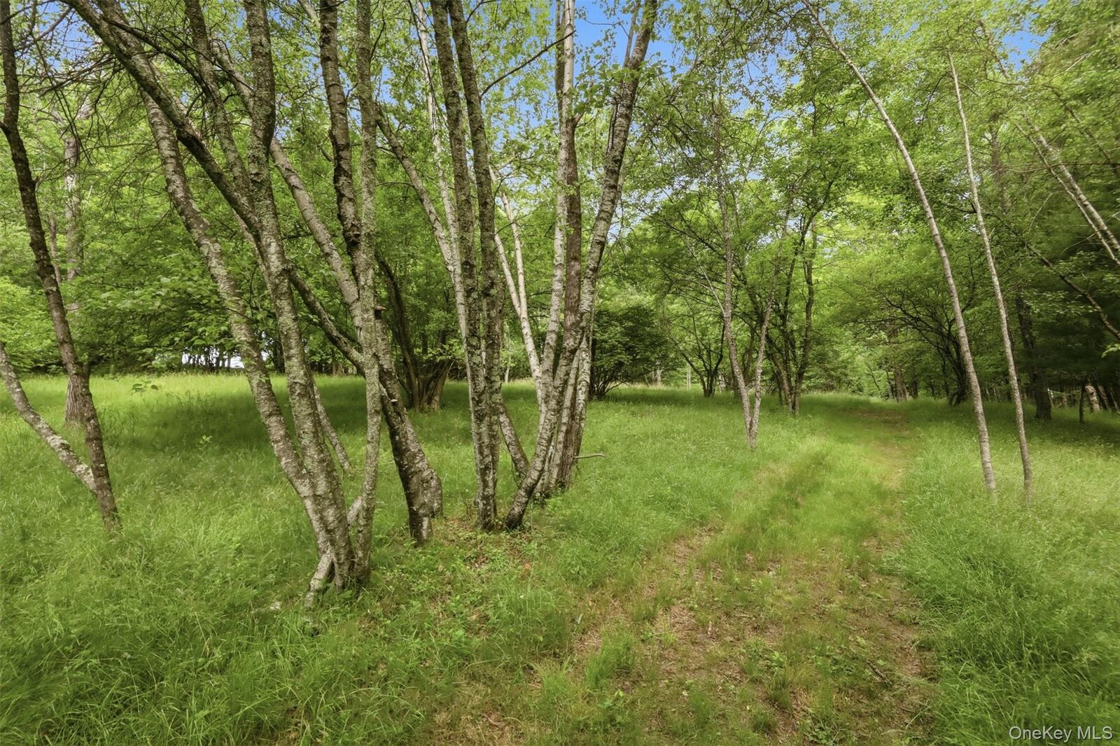Property Photo:  California Avenue  NY 12754 