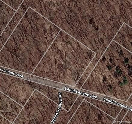 Property Photo:  Lenni Lenape Avenue  NY 12790 