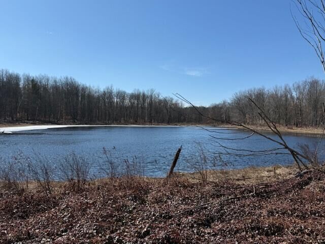 Property Photo:  90th Ave  MI 49332 