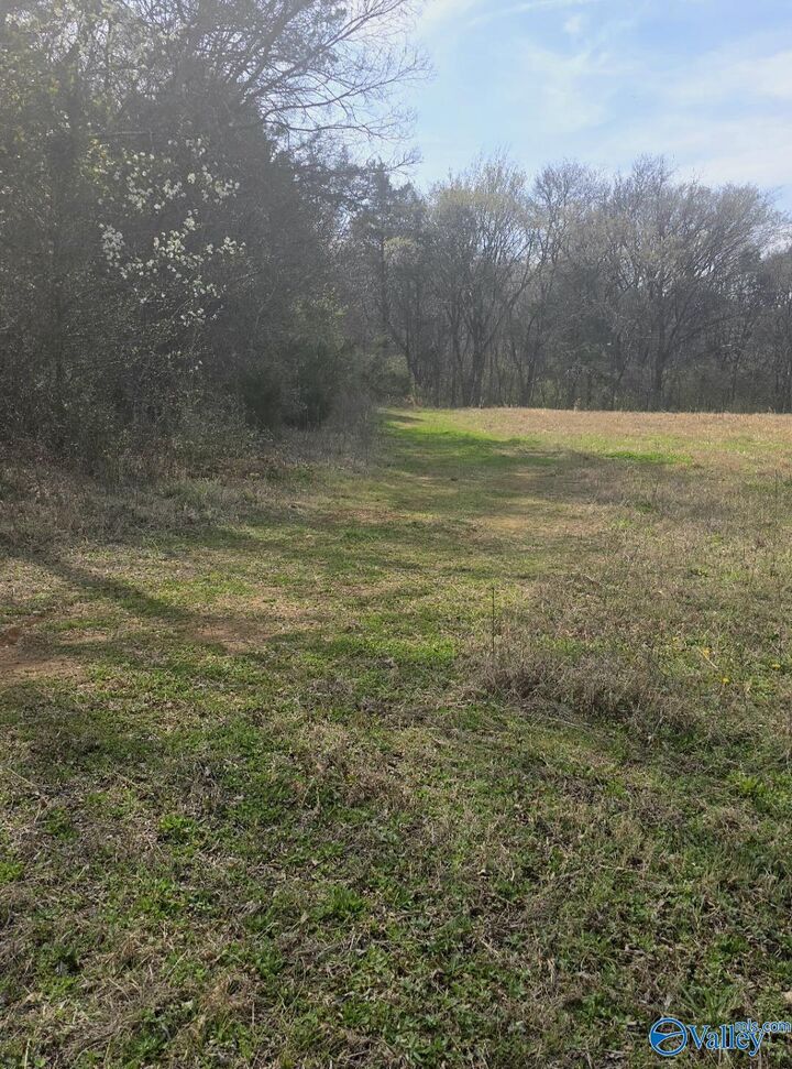 Property Photo:  1 Acre Pulaski Pike  AL 35810 