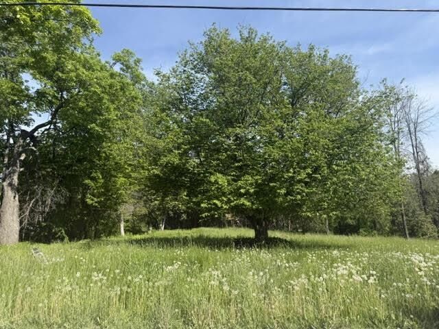 Property Photo: 487 Country Club Road VT 05459