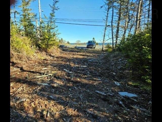 Property Photo:  Port Latour Road  NS B0W 2T0 