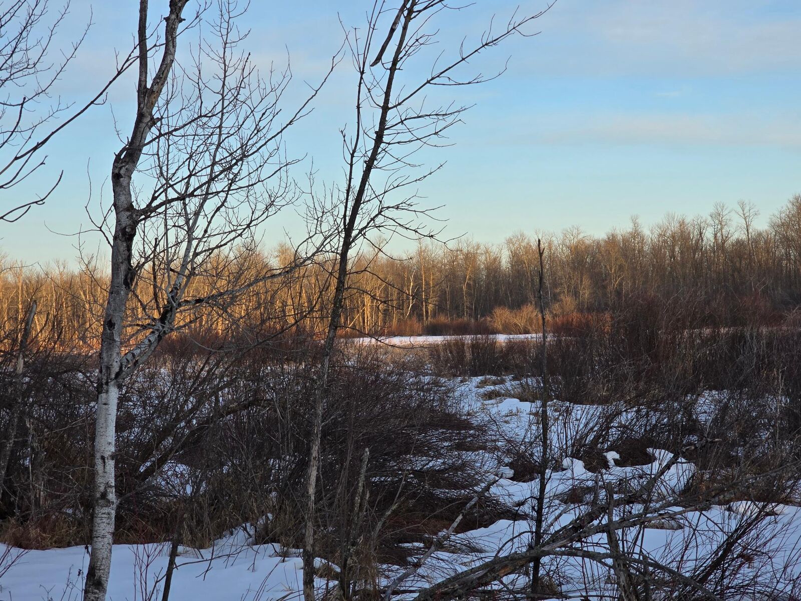 Property Photo:  Tbd Highway 47  MN 56342 