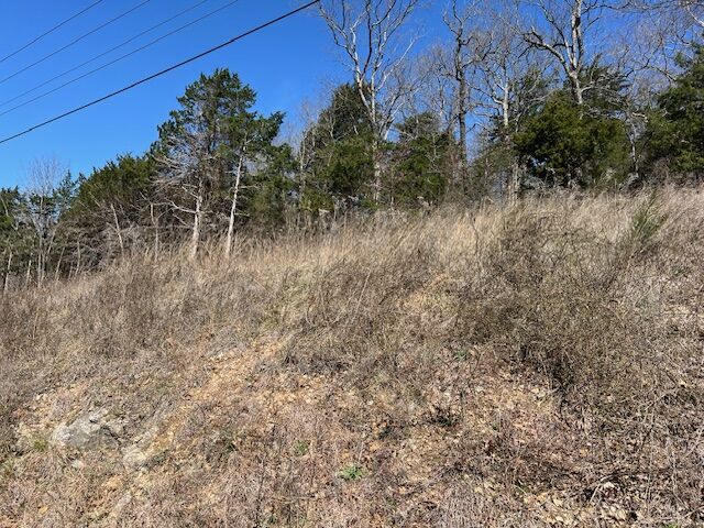 Property Photo: 225 Stateline Drive AR 72631