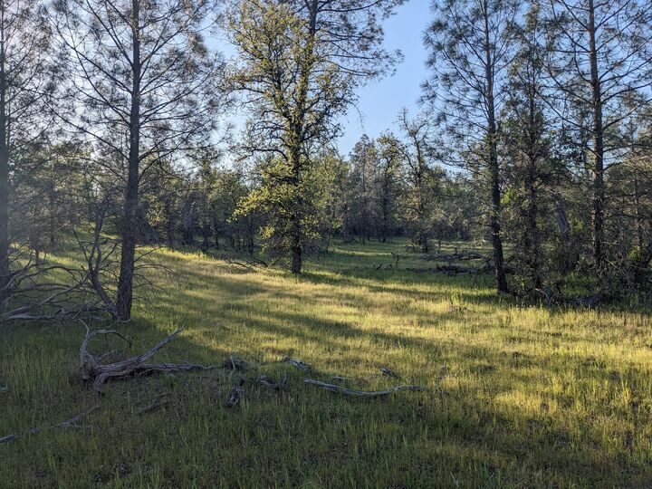 Property Photo: Lot 8 Neal Lane CA 96003