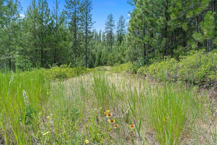 Property Photo:  Nka E Belmont Rd Parcel C  WA 99023 