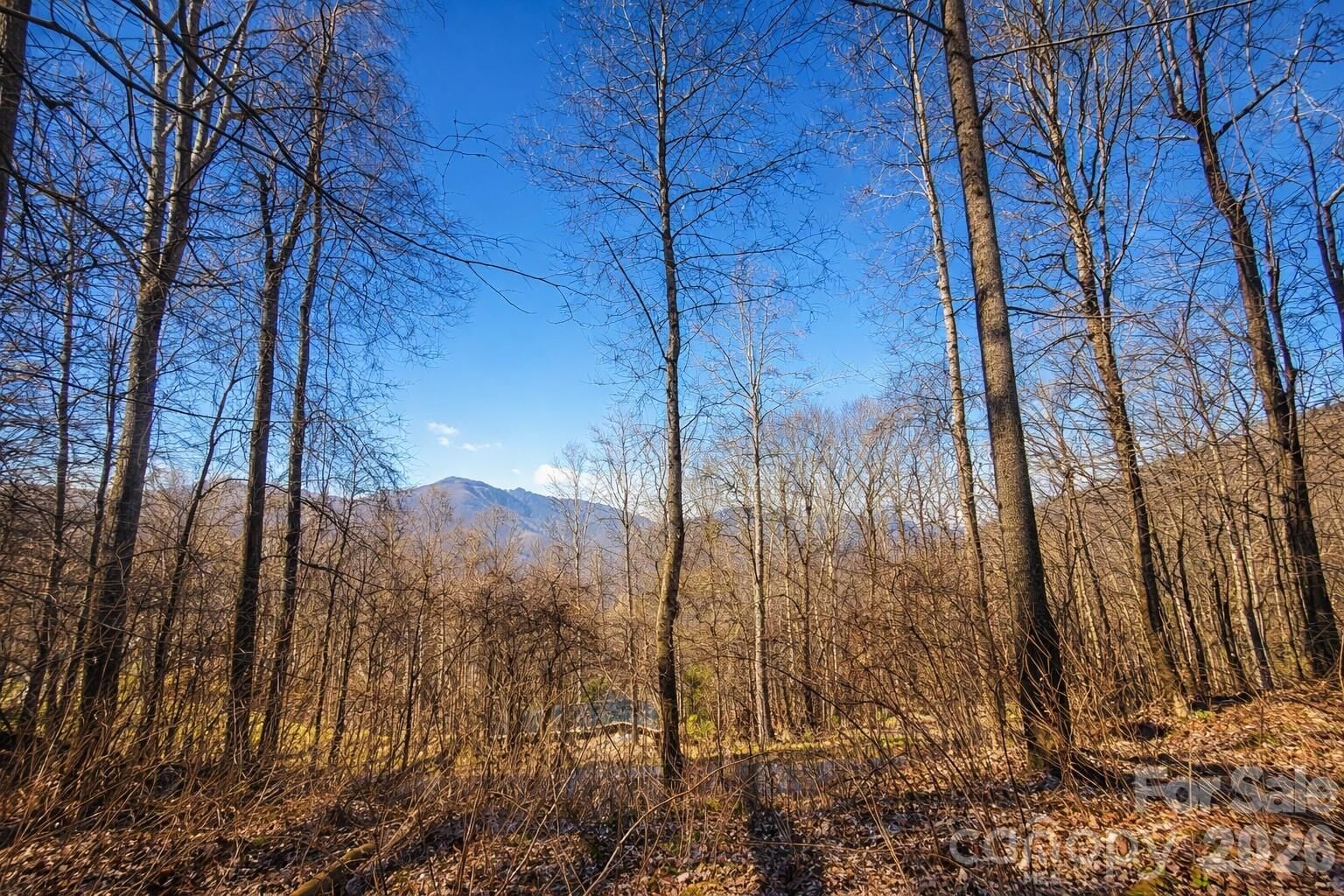 Property Photo: 4 Buckeye Road 63 NC 28751