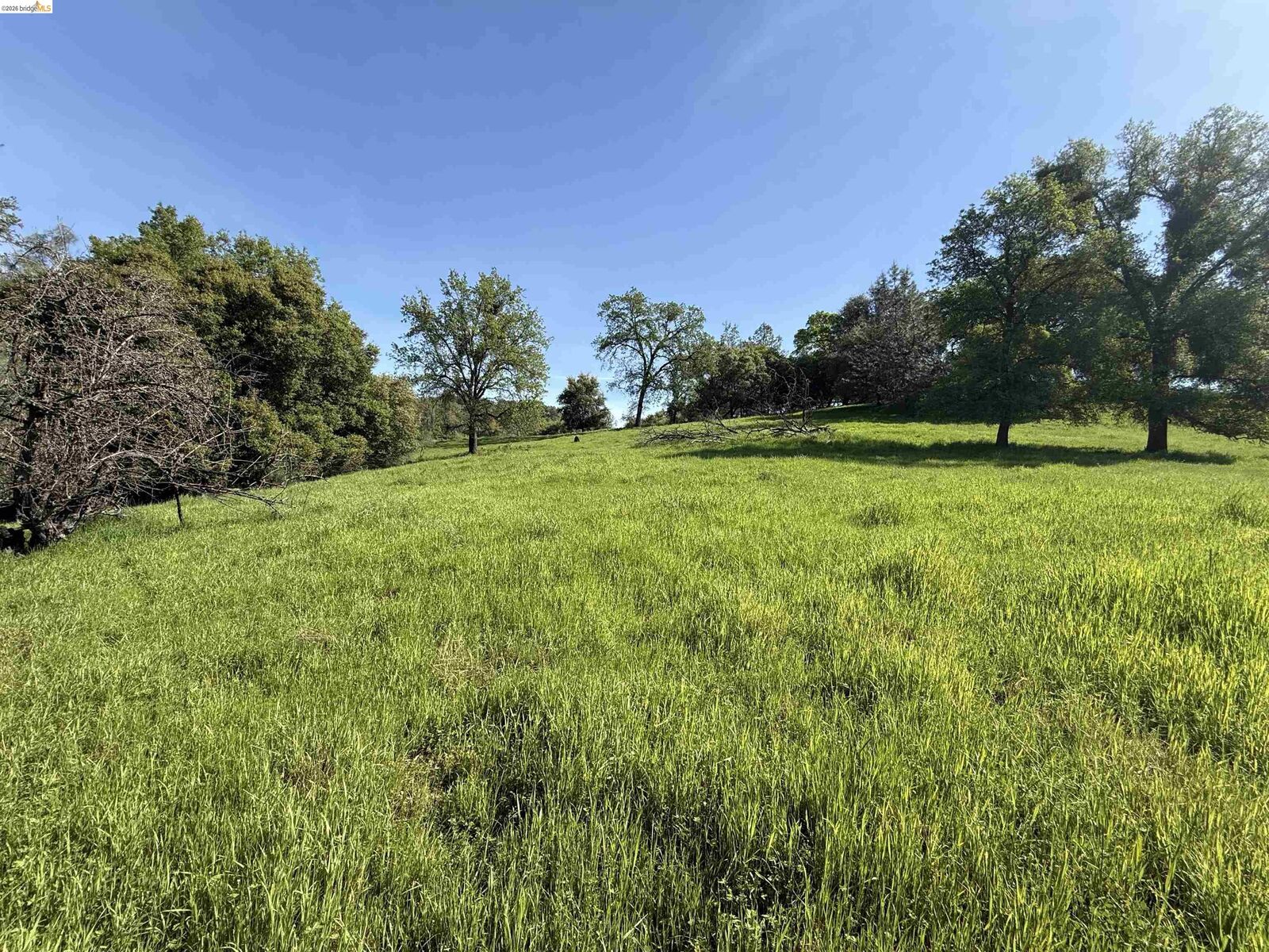Property Photo: 8534 Wilcox Ranch Road CA 95370
