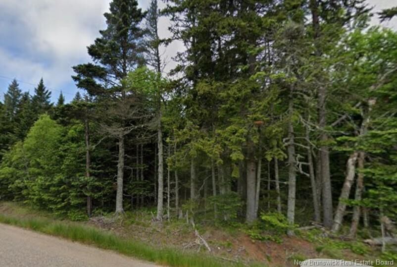 Property Photo:  Lot Main Street  NB E5H 1N6 