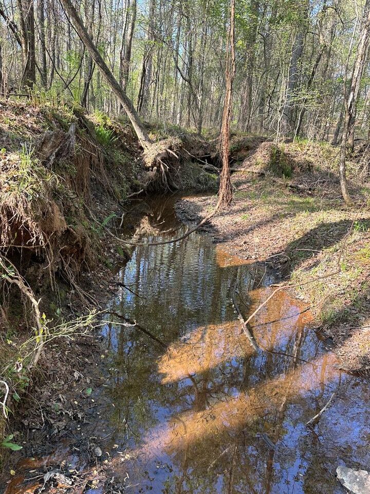 Property Photo: Lot 19 Highway 0085 GA 31831