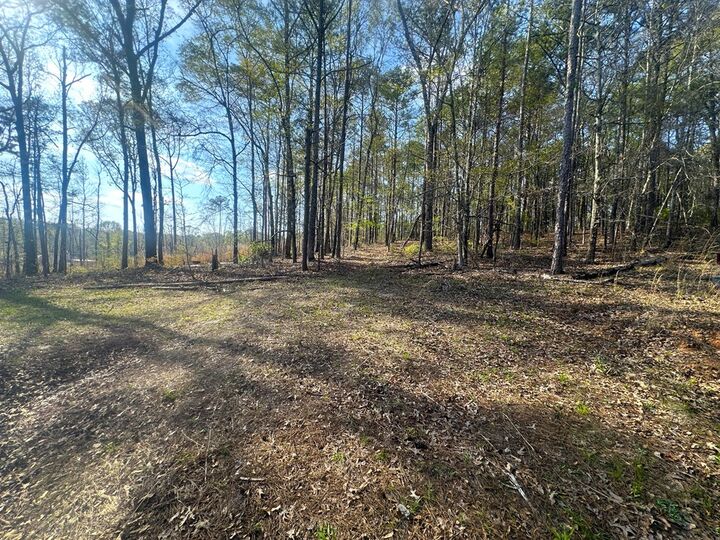 Property Photo:  Lot 19 Highway 0085  GA 31831 