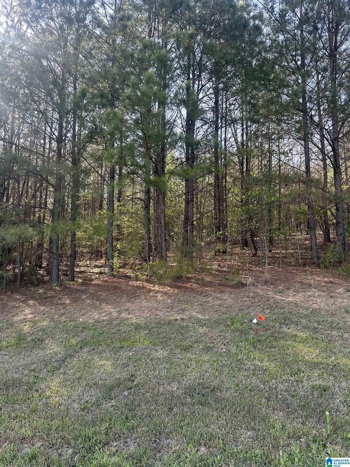 Property Photo:  Lot 10 N Montcrest 10  AL 35057 