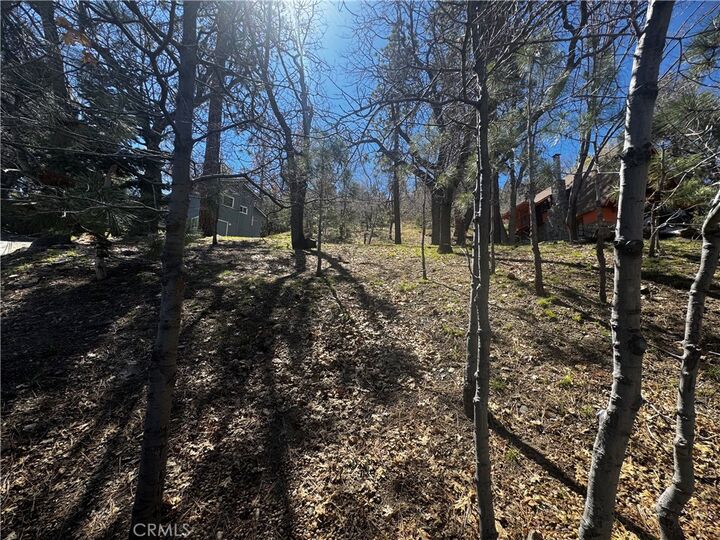 Property Photo:  0 Oriole Road  CA 92397 