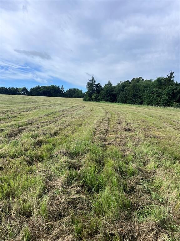 Property Photo:  Tbd County Road 4574  TX 75482 