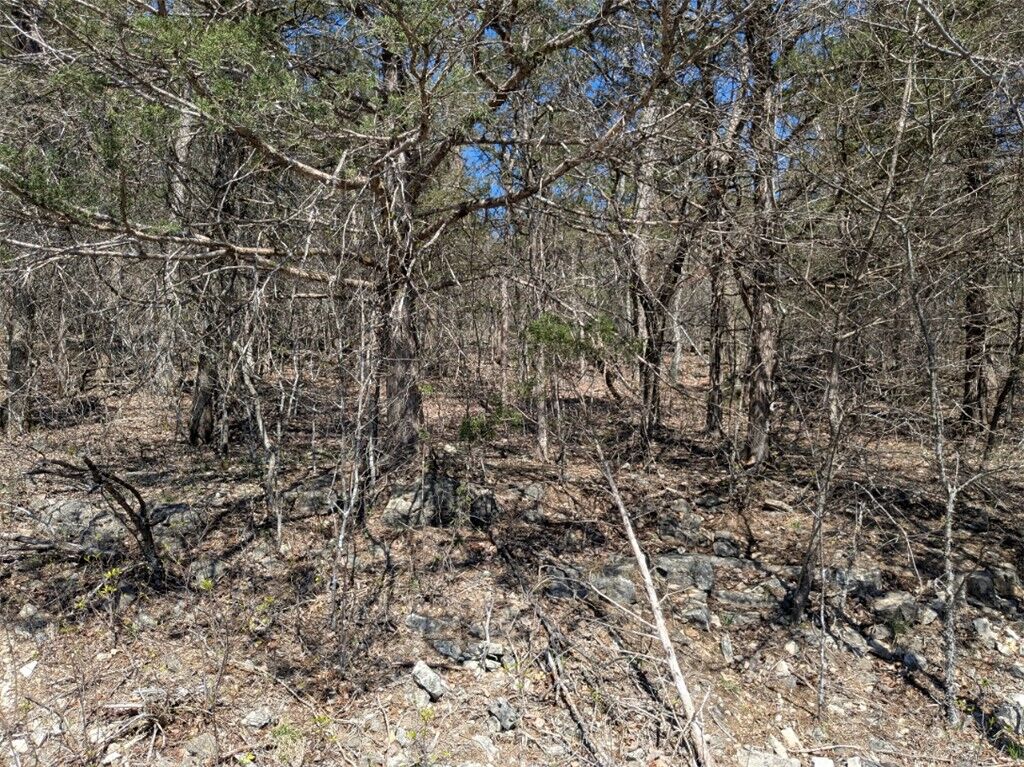 Property Photo:  Tbd Cottonwood Lane  AR 72631 