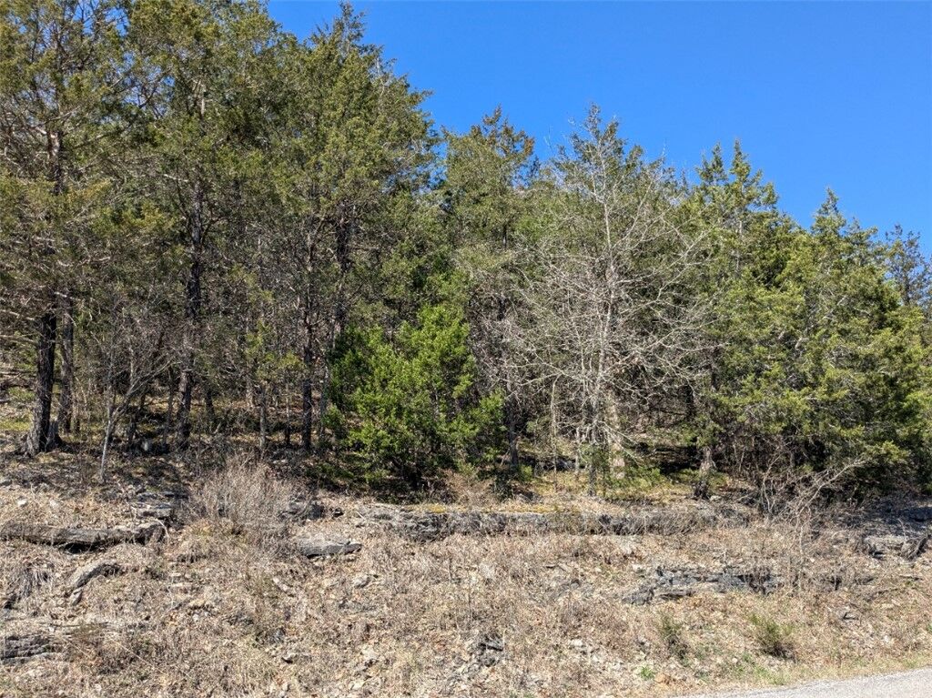 Property Photo:  Tbd Table Rock Drive  AR 72631 