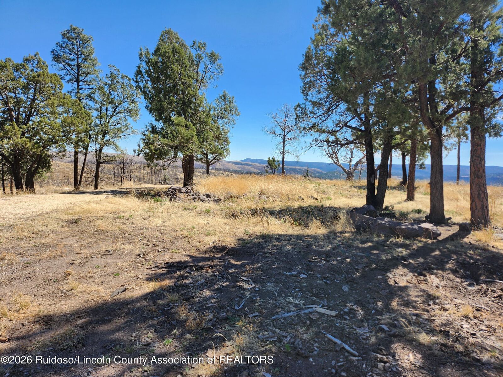 Property Photo:  101 & 103 High Chaparral Place  NM 88345 