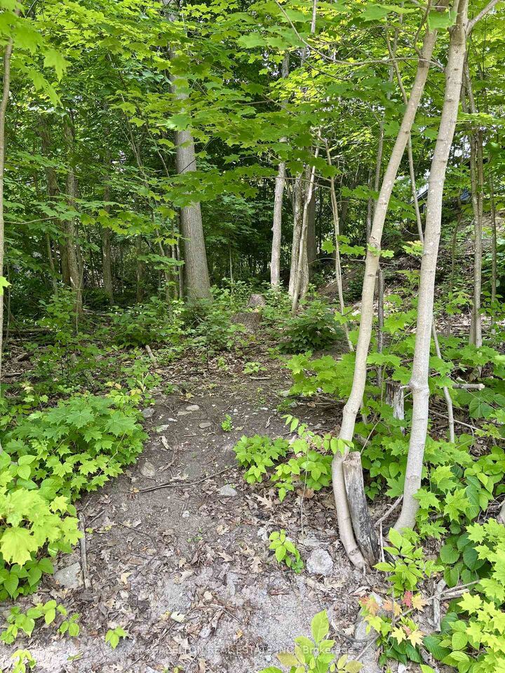 Property Photo:  554 Barnes Avenue  ON L0K 1R0 