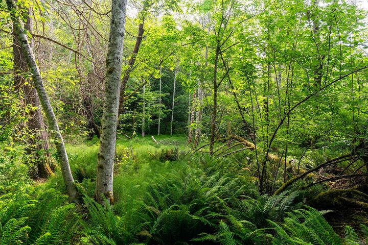 Property Photo: Lot 3 - 384 Seaspray Dr BC V9C 4A6