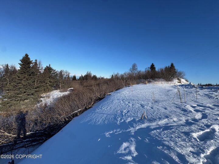 Property Photo:  L7 Mead Court  AK 99568 