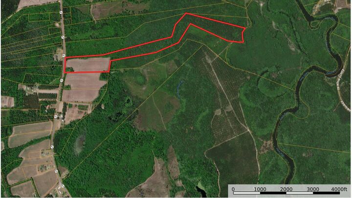 Property Photo:  7753 Augusta Highway  SC 29481 