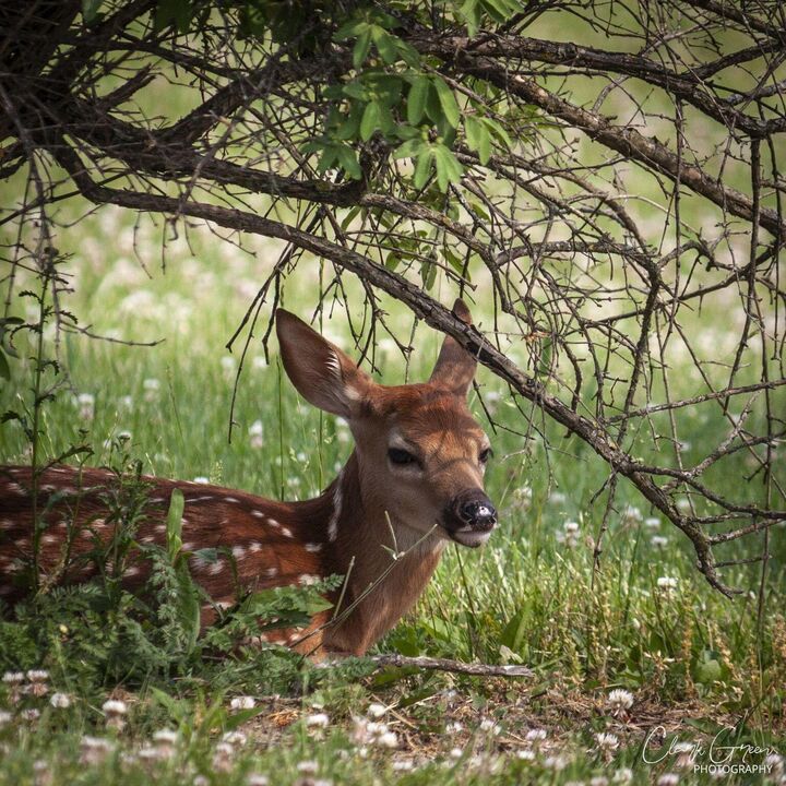 Property Photo: 19150 West Darby Road OH 43040