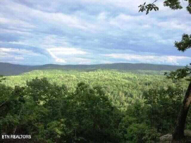 Property Photo: Lot 12 Green Ridge Tr TN 37748