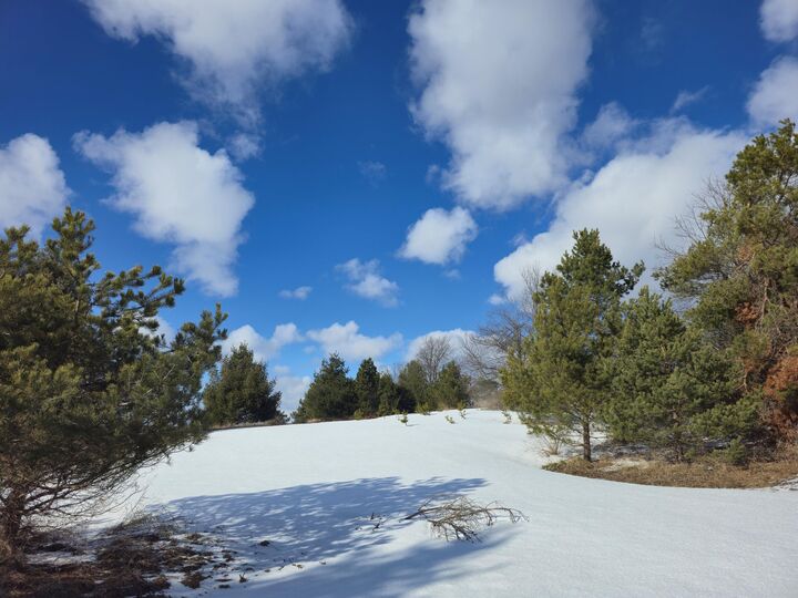 Property Photo:  5850 Deer Run Trail  MI 49740 