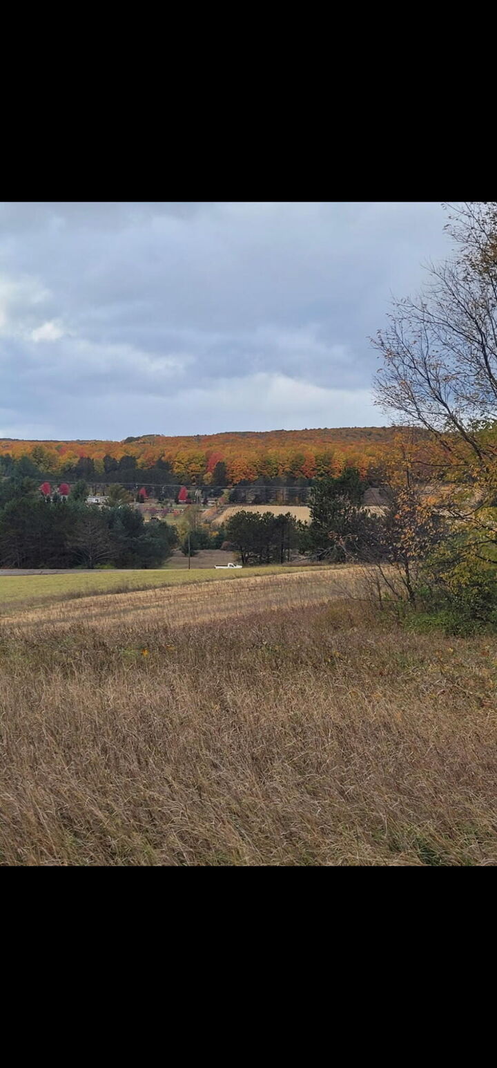 Property Photo: 5850 Deer Run Trail MI 49740