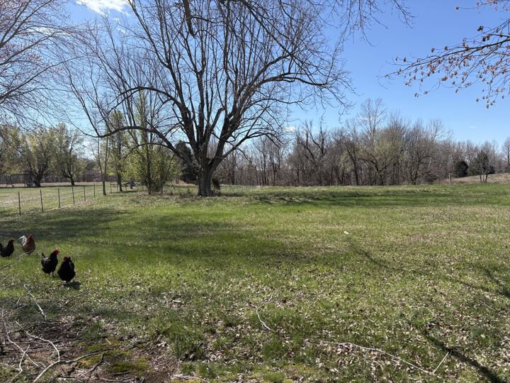 Property Photo: 1332 State Route 831 KY 42345