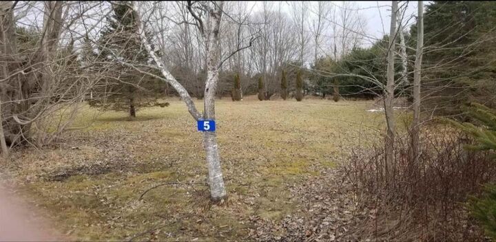 Property Photo:  5 White Point Number 2 Road  NS B0T 1K0 