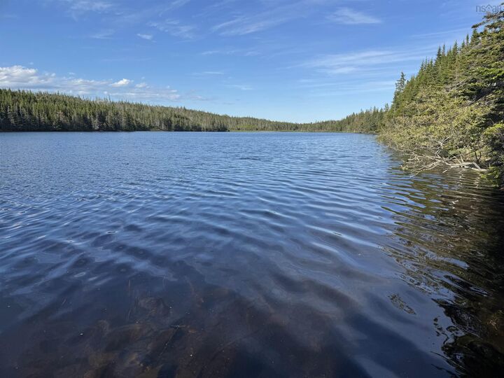 Property Photo:  Lot Highway 206  NS B0E 1A0 