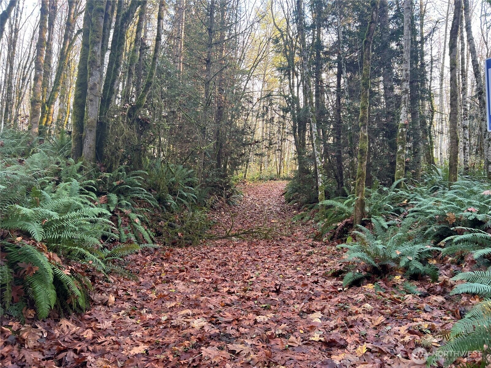 Property Photo:  2 Xxx  View Drive NE  WA 98370 