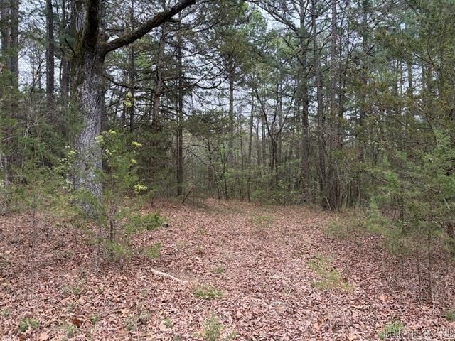 Property Photo: 40 Acres Fs Rd 1436 AR 72830