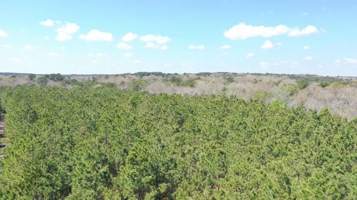 Property Photo:  000 County Road 1926  TX 75563 