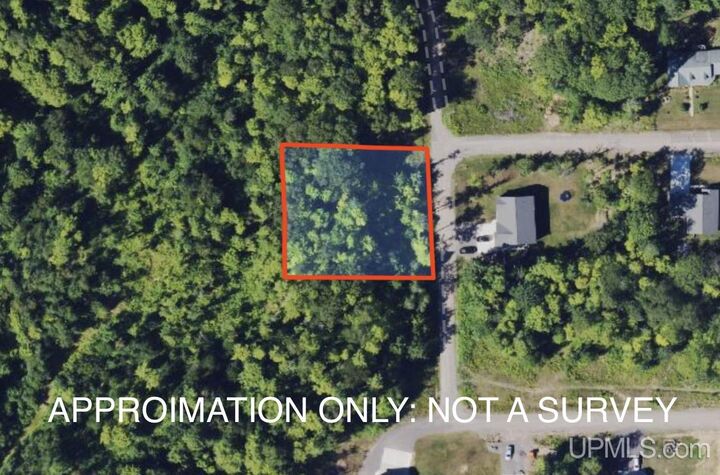 Property Photo:  Tbd Lot 24 S Whealkate Drive  MI 49963 
