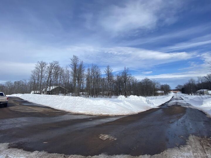 Property Photo: Tbd Lot 28 S Whealkate Drive MI 49963