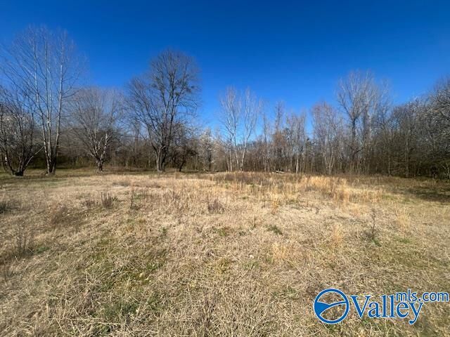 Property Photo: 125 Riverdale Drive AL 35754