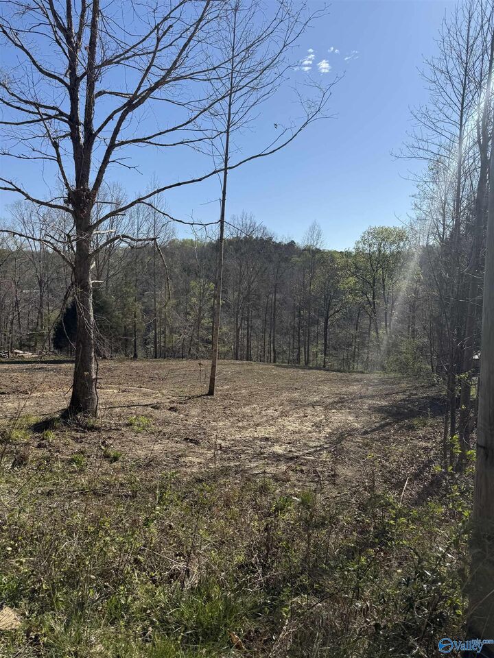 Property Photo: Lot 11 County Road 3782 AL 35541