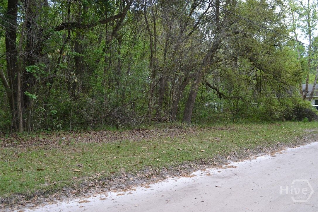 Property Photo:  0 S Hickory Street  GA 31302 