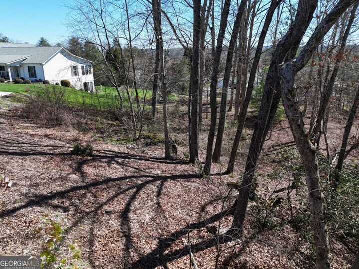 Property Photo: Lot 91 Peyton Drive GA 30513