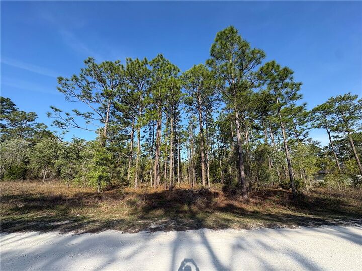 Property Photo:  00 Penn State Road  FL 34613 