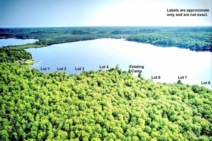 Property Photo:  21415 Petticoat Lake Road  MI 49861 