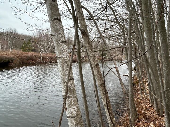 Property Photo:  10910 Boxwood Drive  MI 49346 