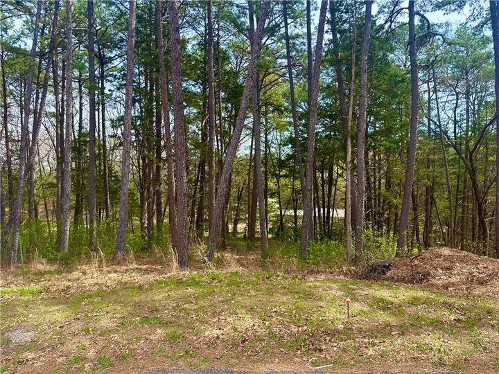 Property Photo: 17 Pine Crest Lane AR 72632