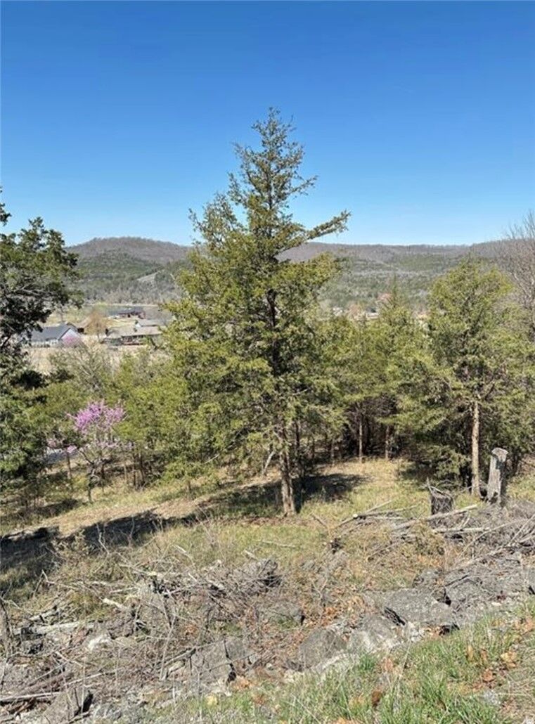 Property Photo: 9 Quailrun Lane AR 72631